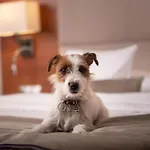 Hotel Parkhotel Lyson