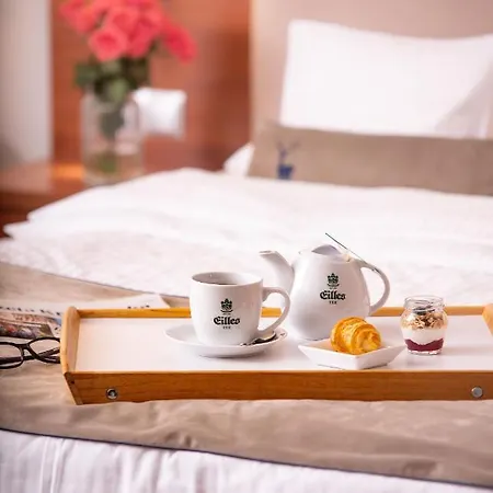 Parkhotel łysoń