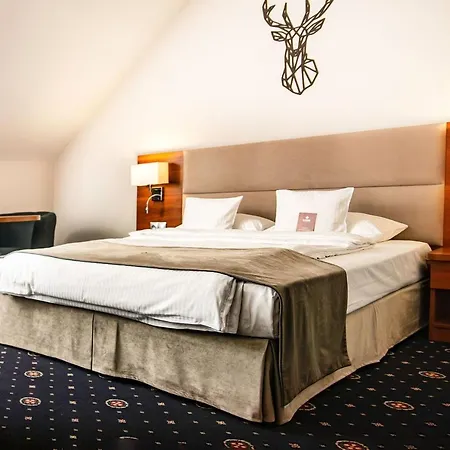 Hotel Parkhotel łysoń Inwałd
