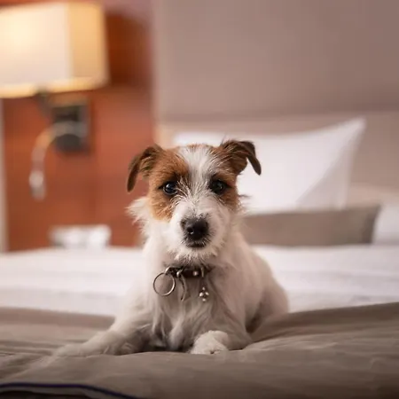 Hotel Parkhotel Lyson