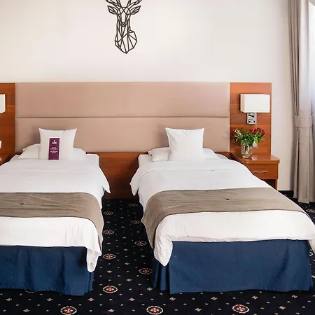 Hotel Parkhotel Lyson 4*