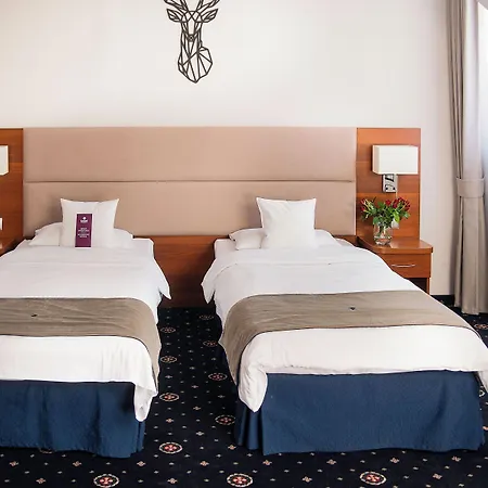 Parkhotel Lyson فندق