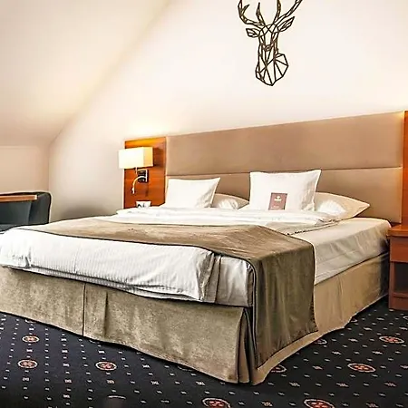 Parkhotel Lyson 酒店 4*