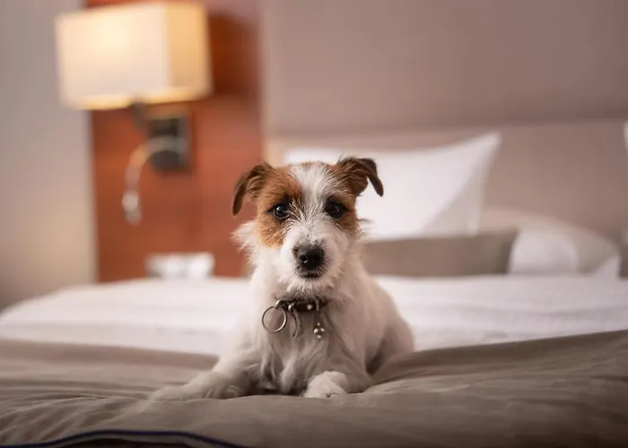 מלון Parkhotel Lyson